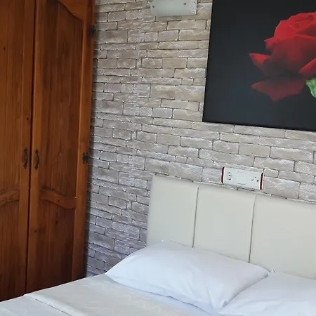 Palmyra Hotel 4*