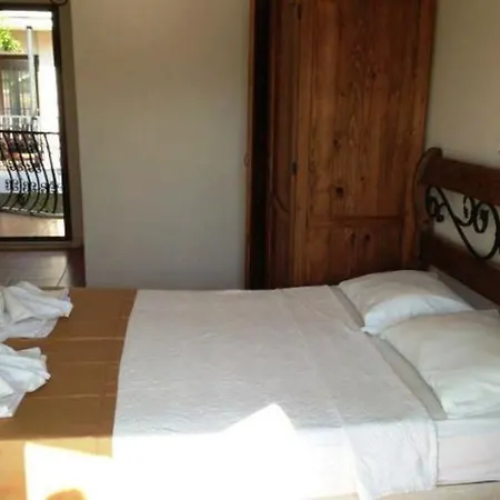 Palmyra Hotel 3*